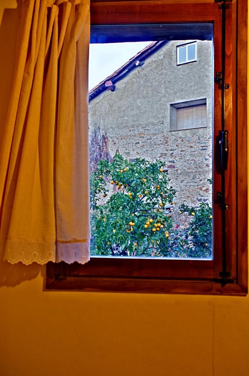 Los Balcones Del Rio 罗夫莱迪略德加塔 外观 照片